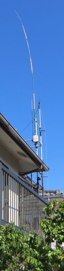 vertical ant